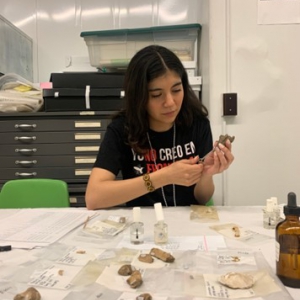 A student sits at a table holding archaeological objects 