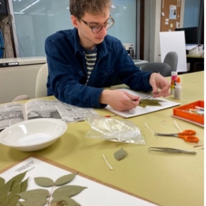 The author mounting a plant specimen on a collection sheet. 